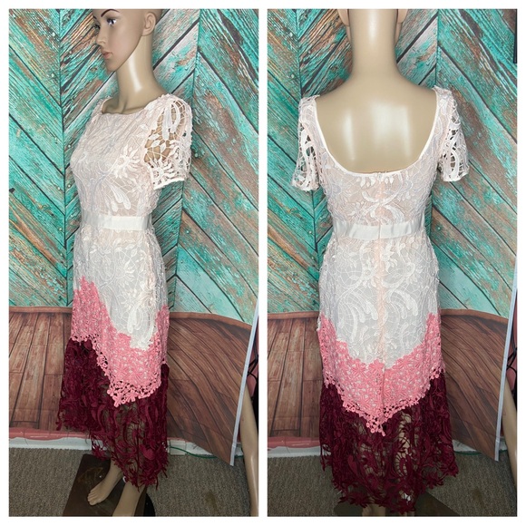 Maje Romarin Ombre Lace Midi Dress - Picture 3 of 9